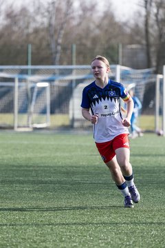 Bild 91 - wBJ Hamburger SV - Hertha BSC : Ergebnis: 2:1